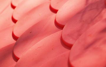 Lugar plastic roof costs