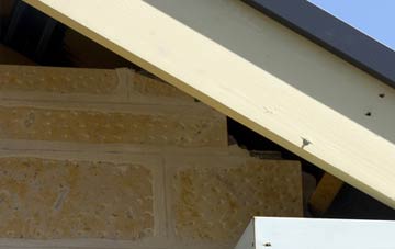 soffit repair Lugar